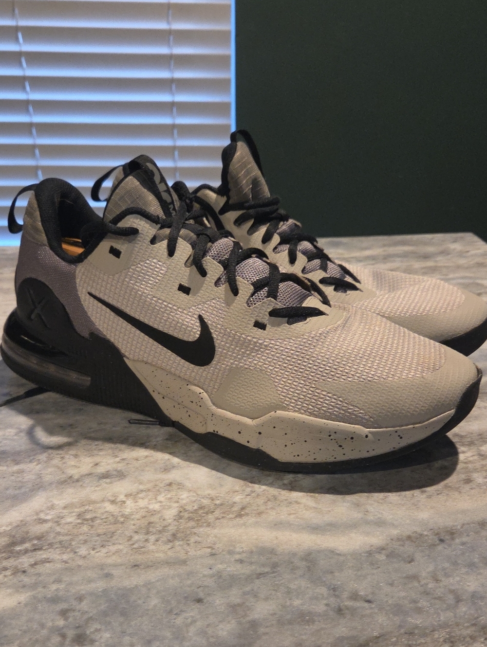 2024 Nike Air Max Alpha Trainer 5